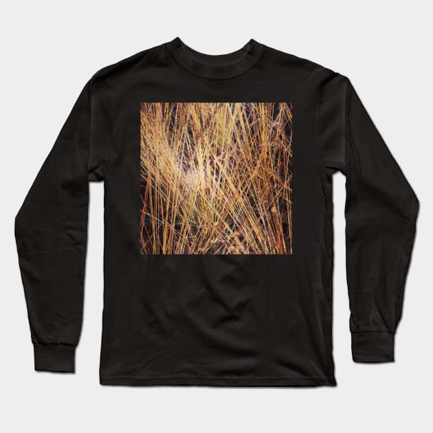 Autumnal grasses Long Sleeve T-Shirt by Jonesyinc